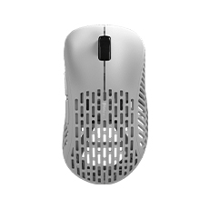 Pulsar Xlite Wireless White - mouse